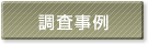 調査事例