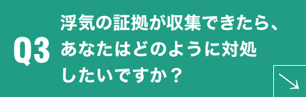 Q3 浮気の証拠が収集できたら、あなたはどのように対処したいですか？